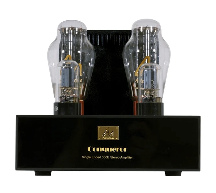 Audio Note Conqueror Silver Power Amplifier