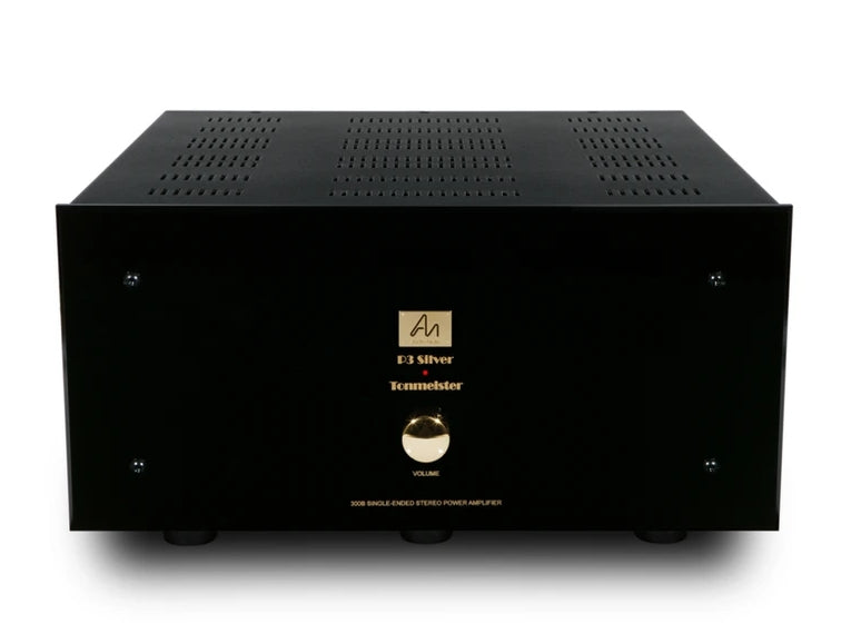 Audio Note P3 Tonmeister Silver Signature Power Amplifier